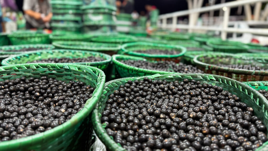 Foto: Jesiel Braga/PMM